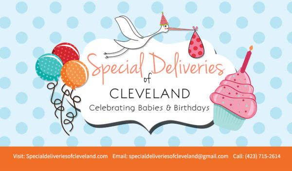 Deluxe Website Design & Marketing Package - Image 3